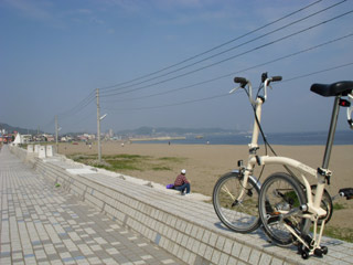 三浦海岸